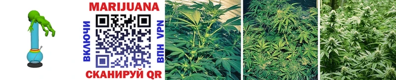 Купить  Безенчук  Марихуана SATIVA & INDICA 
